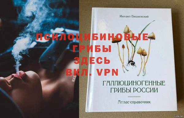 хмурый Навашино
