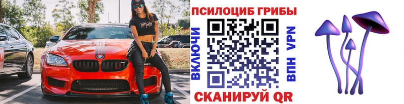 мега как зайти  Тутаев  Псилоцибиновые грибы Psilocybine cubensis 